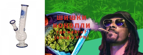 спайс Мегион