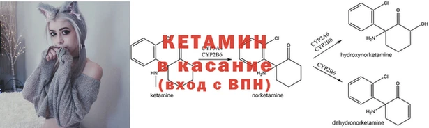 PSILOCYBIN Вязники