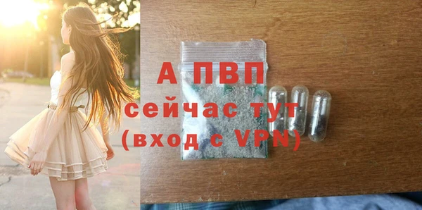 спайс Мегион
